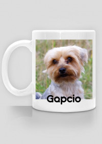 Gapcio