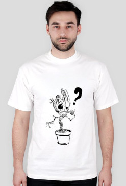 Wondergroot