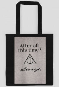 harry potter torba