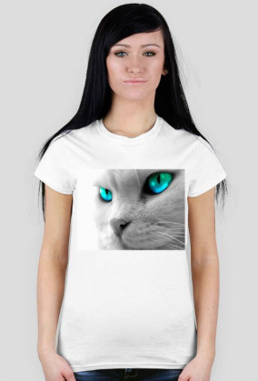 kotek t-shirt 2