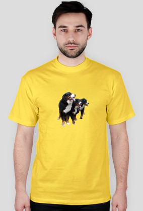 t-shirt2