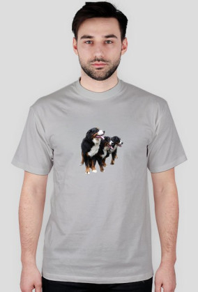 t-shirt2