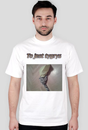 Tygrys