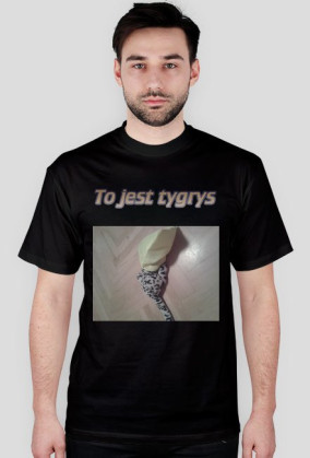 Tygrys