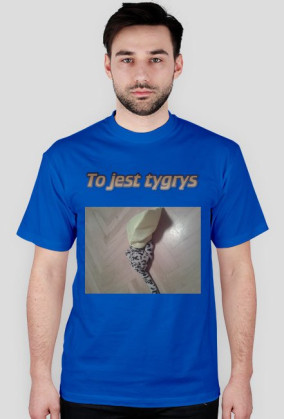 Tygrys