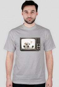 tv dog