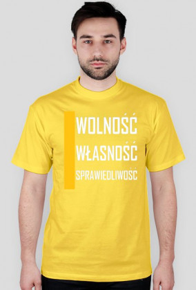 WOLNOŚĆ, WŁASNOŚĆ, SPRAWIEDLIWOŚĆ