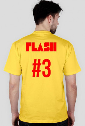 Flash #3