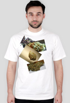 Smoke Weed T-shirt