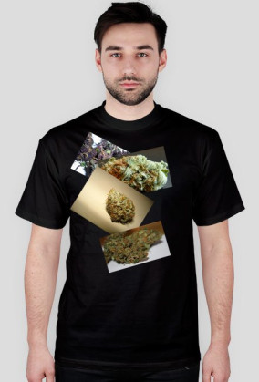Smoke Weed T-shirt