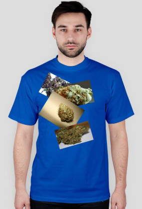 Smoke Weed T-shirt