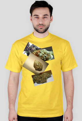 Smoke Weed T-shirt