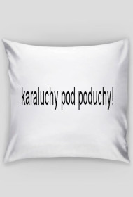karaluchy pod poduchy