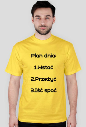 T-Shirt Plan Dnia