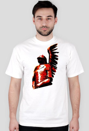 robohussars