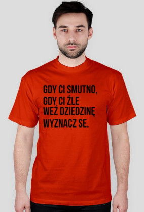 dziedzina