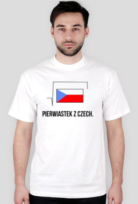 czechy
