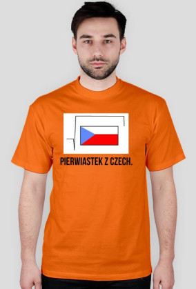 czechy