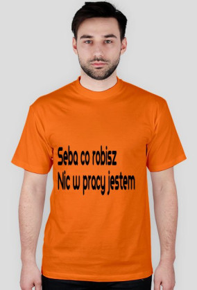 sucha koszula II