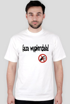 Faza "Steinbach"