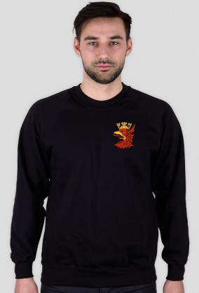 Bluza Gryf Szczecin