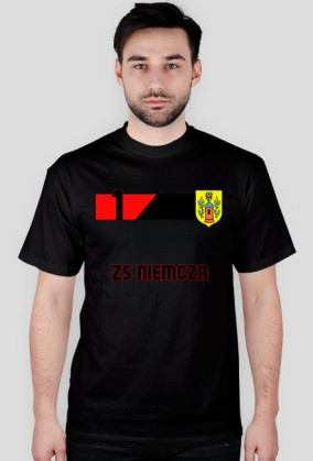 Niemcza 1