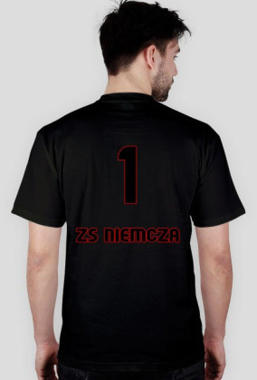 Niemcza 1