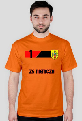 Niemcza 1