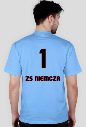 Niemcza 1