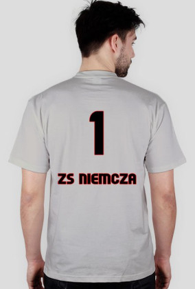 Niemcza 1