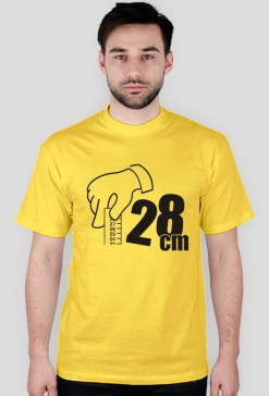 28 cm