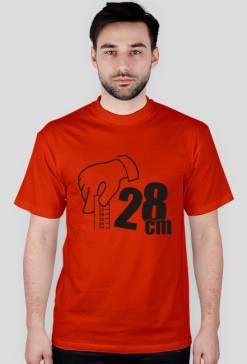 28 cm